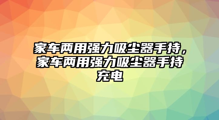 家車(chē)兩用強(qiáng)力吸塵器手持，家車(chē)兩用強(qiáng)力吸塵器手持充電